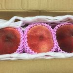 7月ダブルチャンス「よもぎた果樹園」の桃